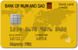 Improve a Credit Score
